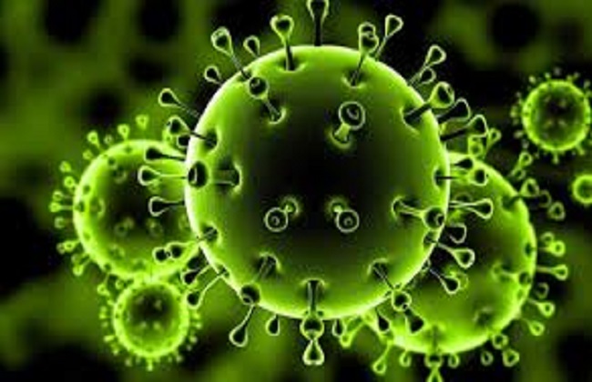 قبلي: تسجيل اول إصابة بكورونا فيروس