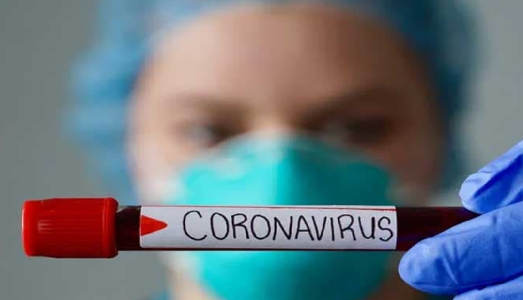 حالات الإصابة بفيروس “كورونا” حسب الولايات