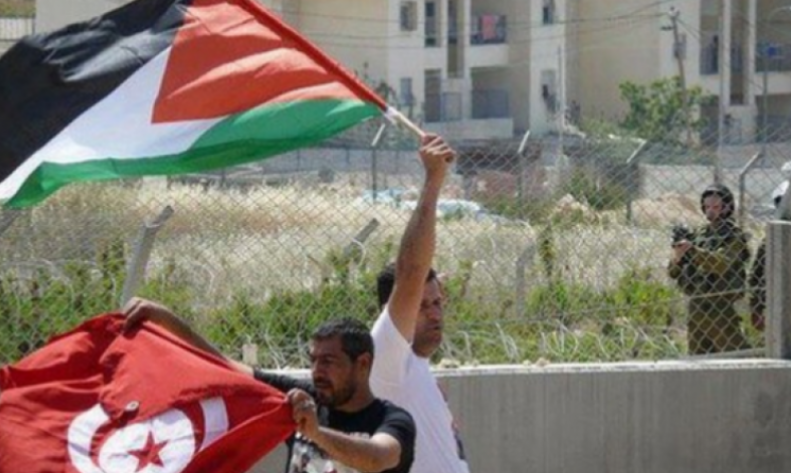 بمناسبة الاحتفال باليوم العالمي لحقوق الإنسان: تونس تجدّد دعمها للقضية الفلسطينية العادلة
