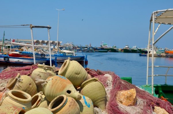 طعن في اجتماع ما يُسمّى «اللجنة الاستشارية لميناء الصيد البحري» بطبلبة يوم 25/06/2020 (الجزء1)