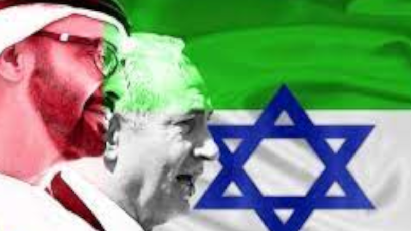مناورات عسكرية مشتركة بين الإمارات والكيان الصهيوني