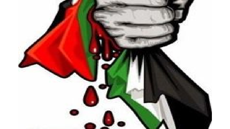 الشعب الفلسطيني يخوض معركة الماهية الجريحة…بقلم إدريس هاني