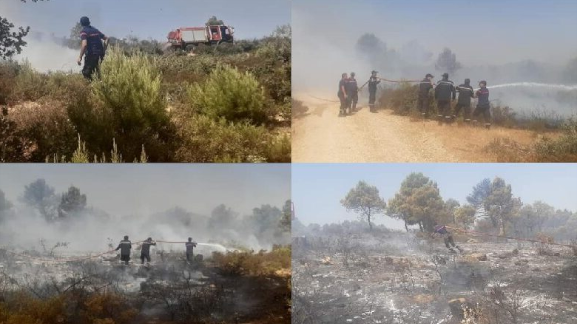 الحماية المدنية تسيطر على حريق “فج حسين” بجندوبة بعدما أتى على 1500 هكتار من الغابات