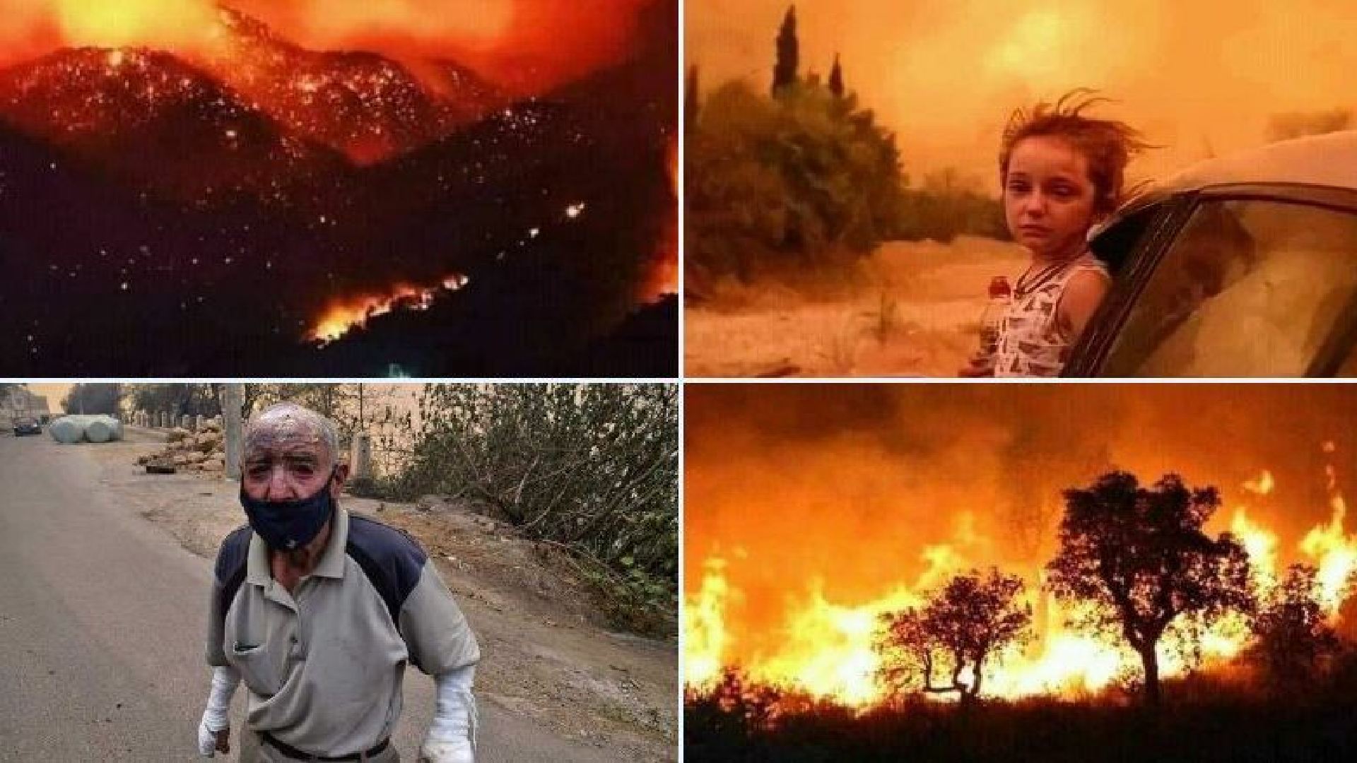 الجزائر والحرائق المفتعلة…بقلم الدكتور بهيج سكاكيني