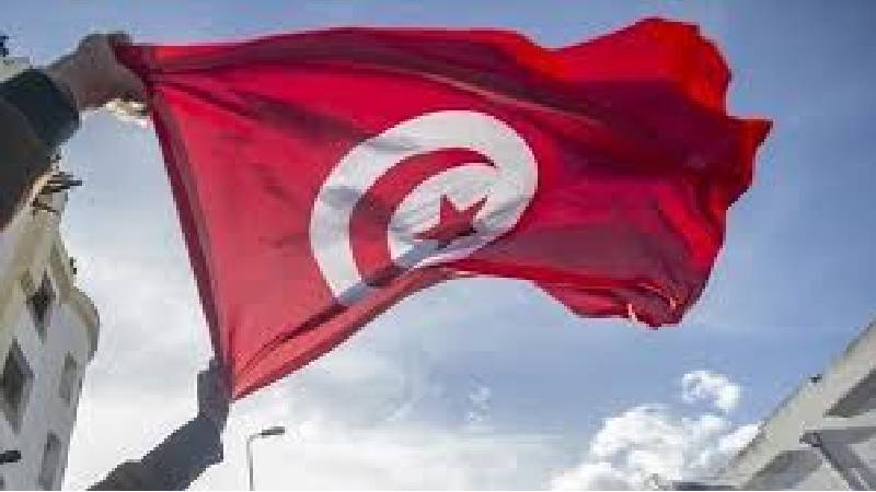 المعارضة التي تستقوي بالخارج لا تشرّف تونس…بقلم محمد الرصافي المقداد