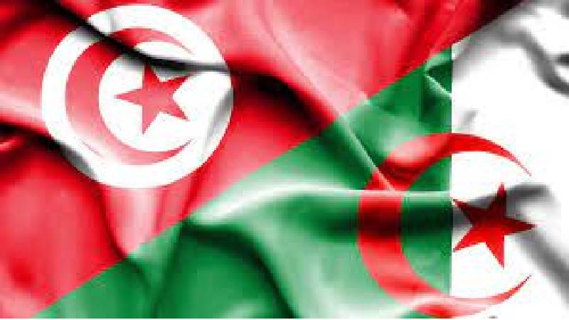 تونس عمق الجزائر الإستراتيجي لن تكون أمريكية…بقلم محمد الرصافي المقداد