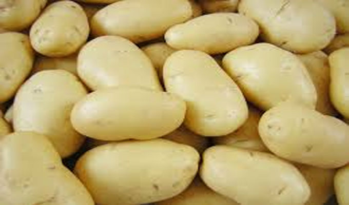وزارة التجارة تحجز 20 طنا من البطاطا في مخزن بمنطقة قربة