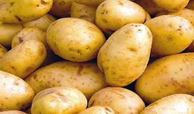 حجز كميّة من البطاطا بقيمة 10 آلاف دينار