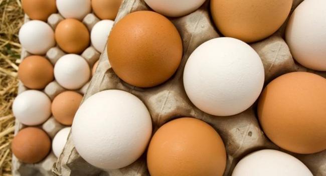 البيض مازال مسعرا ب1100 مليم