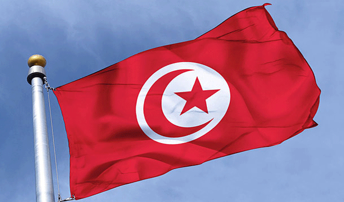 تونس تتقدم بطلب إلى الاتحاد الأوروبي للحصول على هبة لتمويل مشروع الربط الكهربائي مع ايطاليا