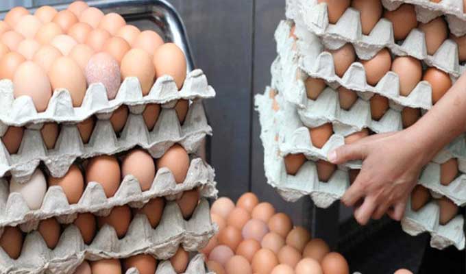 سيدي بوزيد: حجز 30 ألف بيضة بمنطقة فايض