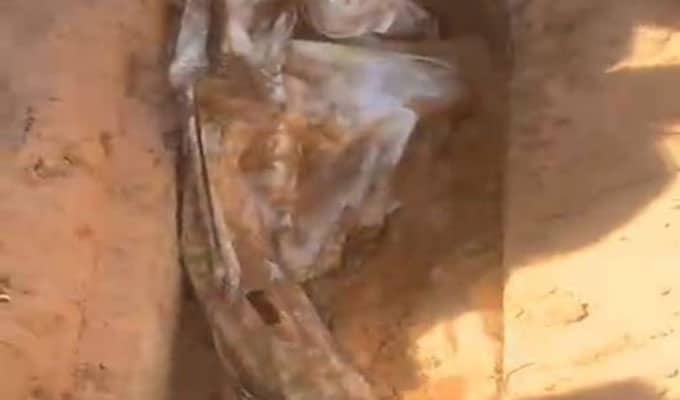 فيديو-عاجل: أهالي المفقودين في “فاجعة جرجيس” يقتحمون مقبرة الغرباء..وهذه التفاصيل..