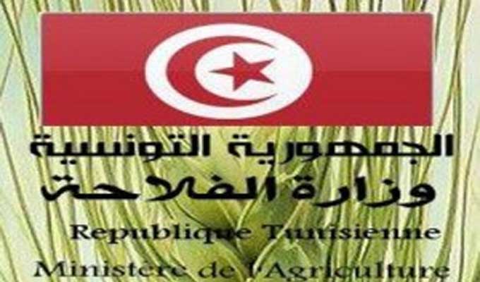 المنصة التونسية للبدائل: أعوان واطارات الشركة التعاونية للمشاتل والبذور الممتازة دون أجور منذ 4 أشهر
