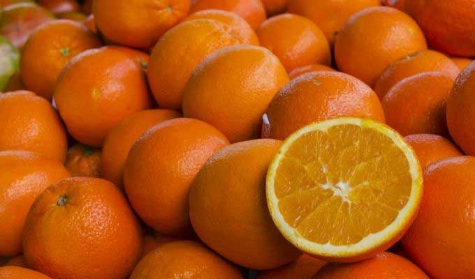 المجمع المهني المشترك للغلال : إرجاع 20 طنا فقط من البرتقال المالطي إلى تونس من السوق الفرنسية